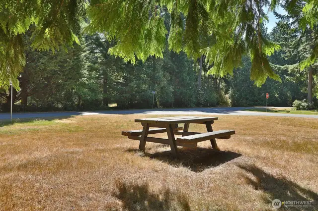 and picnic tables and area for volleyball or other outdoor games