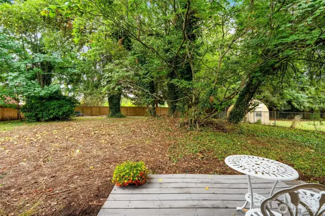 Back Patio