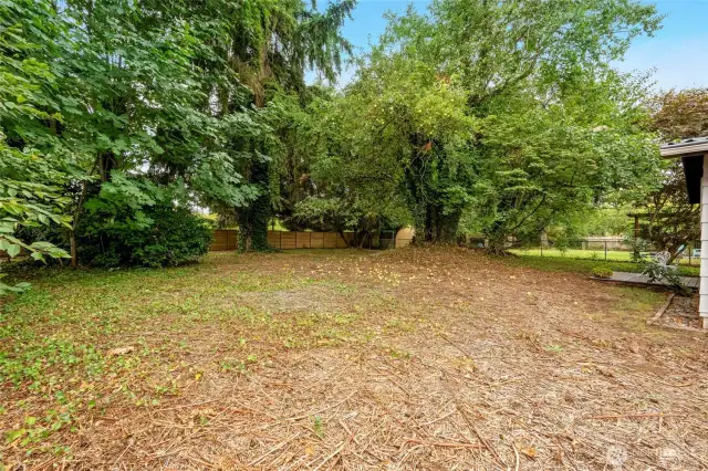 Huge fenced backyard
