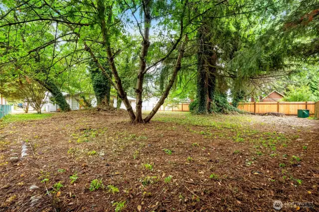 Huge fenced backyard