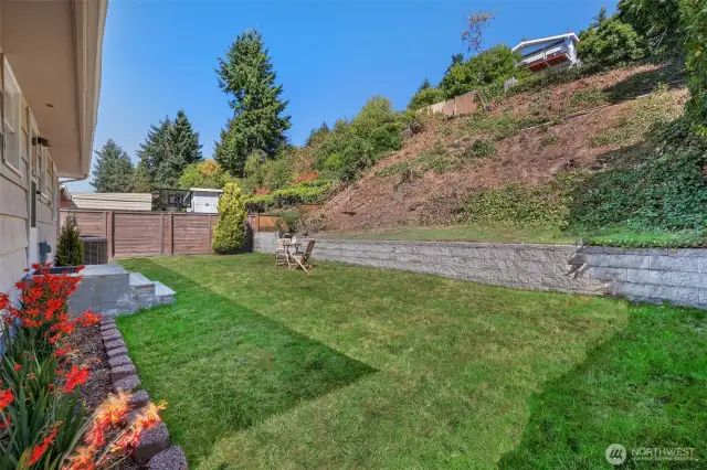 Looking north to back yard. Potential for additional terraced gardens.