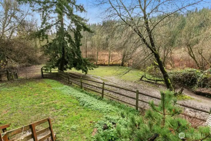 Pasture area and view to Patterson Creek/Back of Soaring Eagle Park. The property goes to base of the hill in the distance.