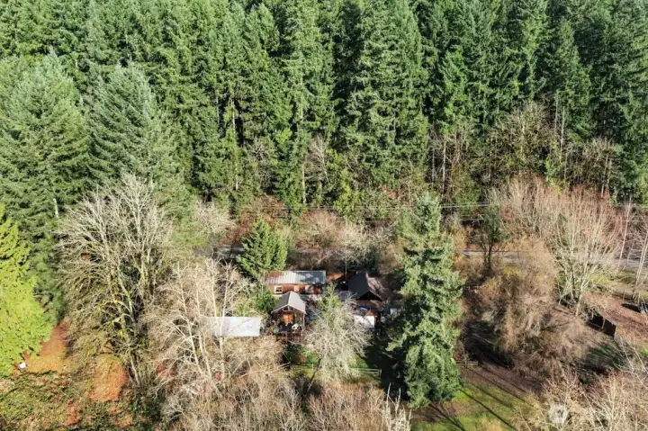 Aerial view from back of property looking back towards Redmond-Fall City Rd.