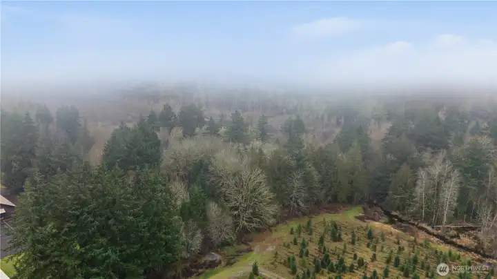 10 acres in the heart of Oly