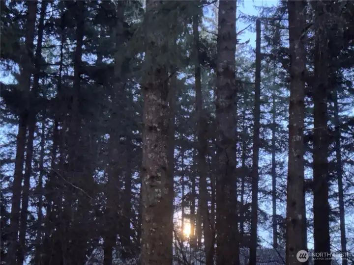 Magnificent moonrise