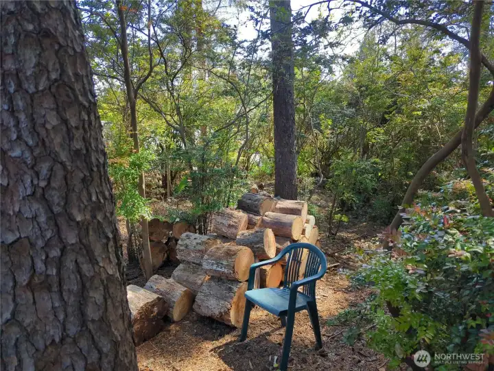 Lot has been cleaned up and offers a wonderful forested setting.