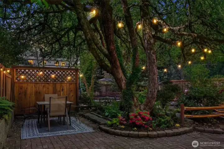 Huge back yard!