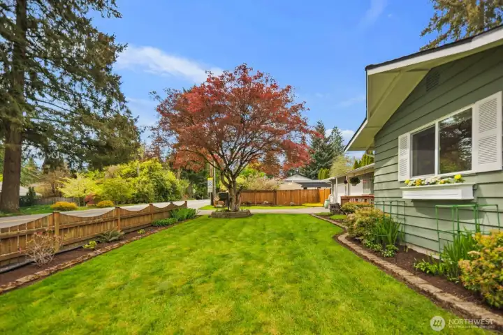 Establish Perennial's in Bloom!