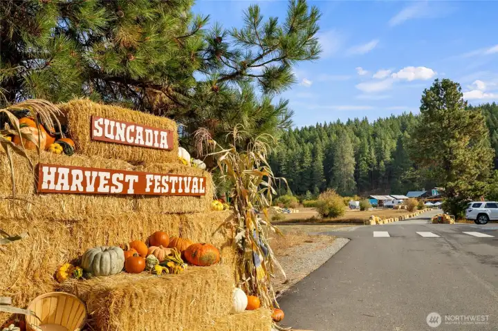 Enjoy Suncadia activities!