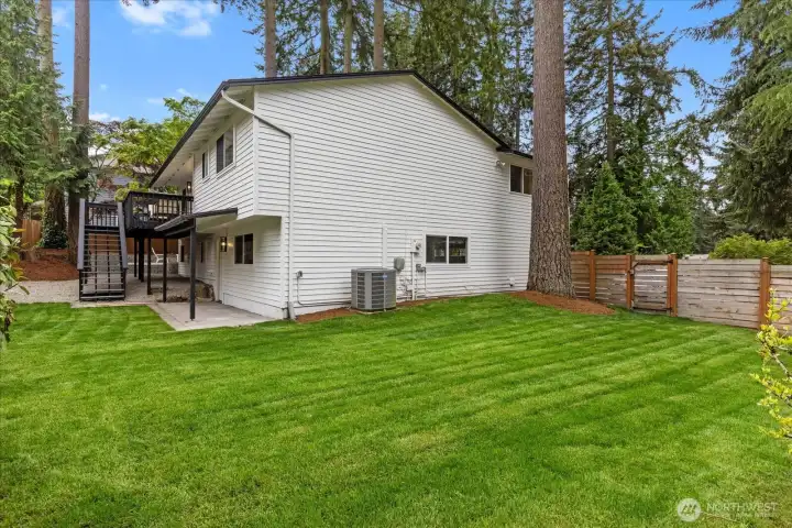 Large yard
