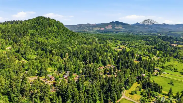 Territorial views and peaceful surroundings highlight this Fairway Hills property, offering privacy, space, and the best of Enumclaw living.