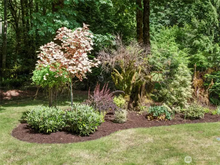 BACKYARD BEAUTY | The backyard gets plenty of sunlight for those seeking a space to garden.