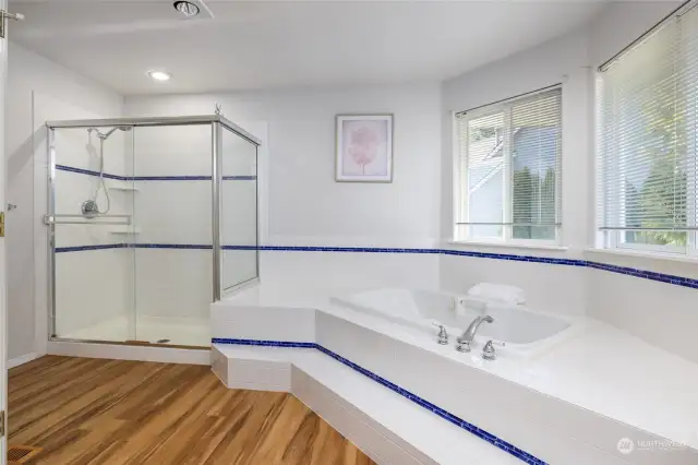 Primary Bath with oversized walk-in shower and jetted soaking tub