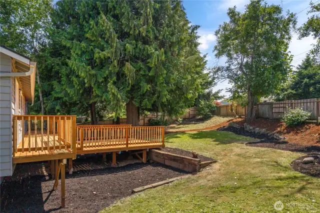Big, private yard with mature landscaping