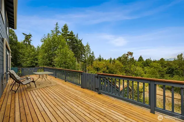 Large back deck