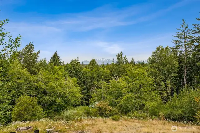 View of mountains