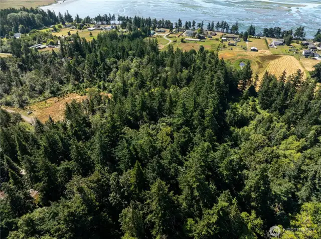 Welcome to Samish Island! This rare, 4-acre lot is forested and ready for you to bring your island dreams to reality.