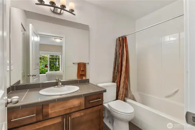 Lower level full bathroom
