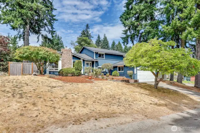 side view of the front yard