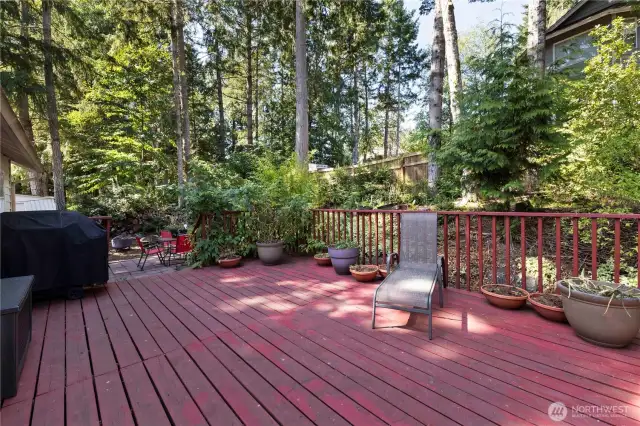 Semi-Private back deck - many mature trees for shade in the summer