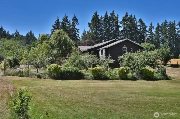 East side of your home and yard.