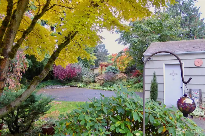 From spring blooms to fall foliage, the yard is full of color year-round, with autumn leaves in brilliant shades of yellow, red, and orange.
