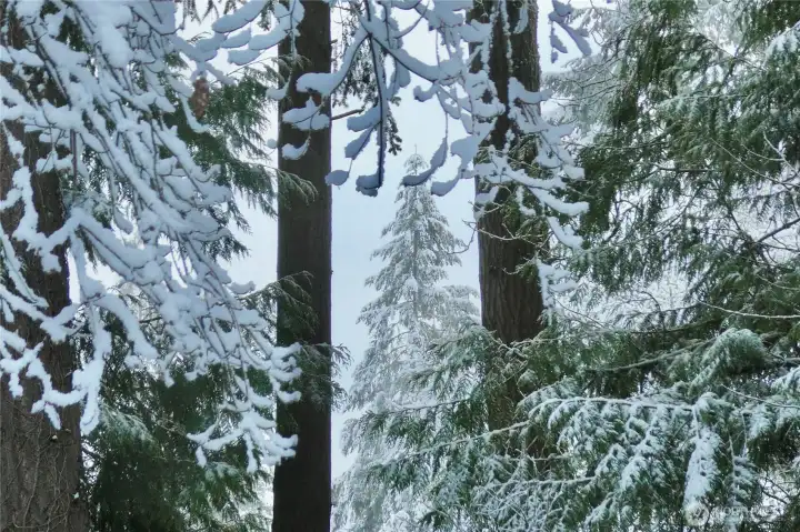 When it snows, you'll be living in a winter wonderland!