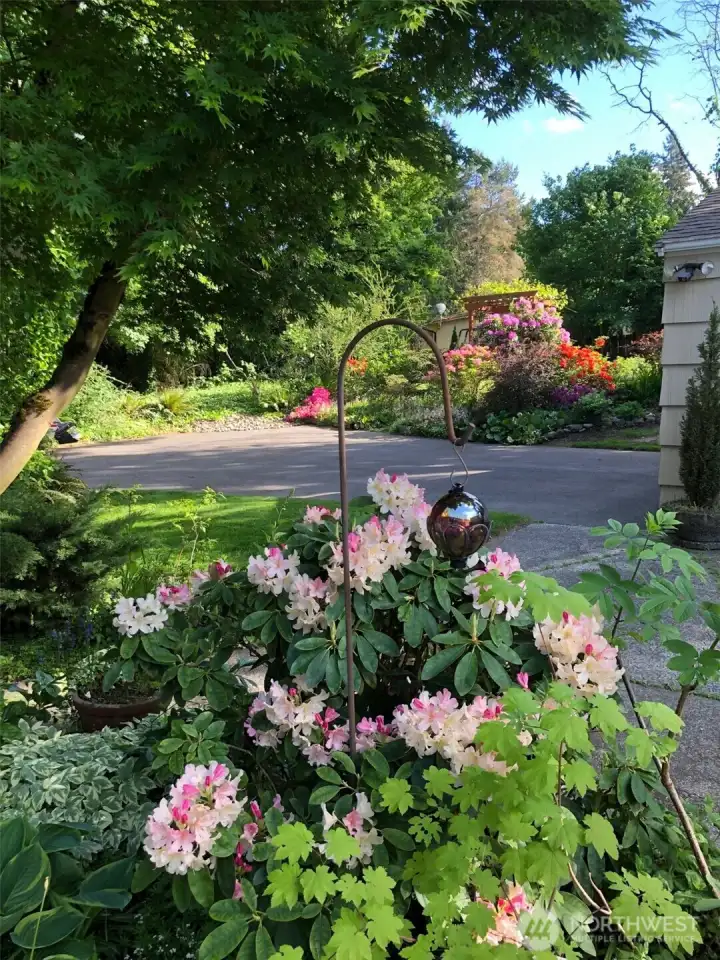 Beautiful plants and garden beds provide year-round color in this gardener’s paradise, with springtime pink rhododendrons adding extra charm.