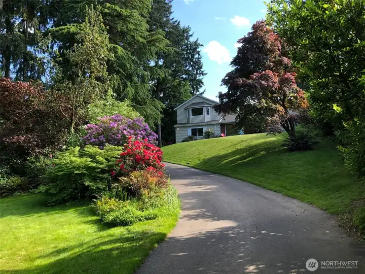 Established rhododendrons, azaleas, and flowering trees fill the yard with color each spring. Imagine this view greeting you as you drive up the driveway.