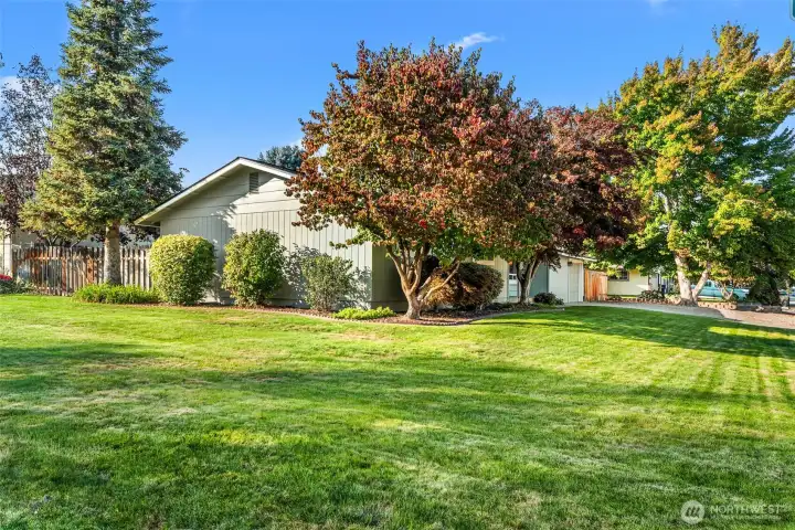 Side yard