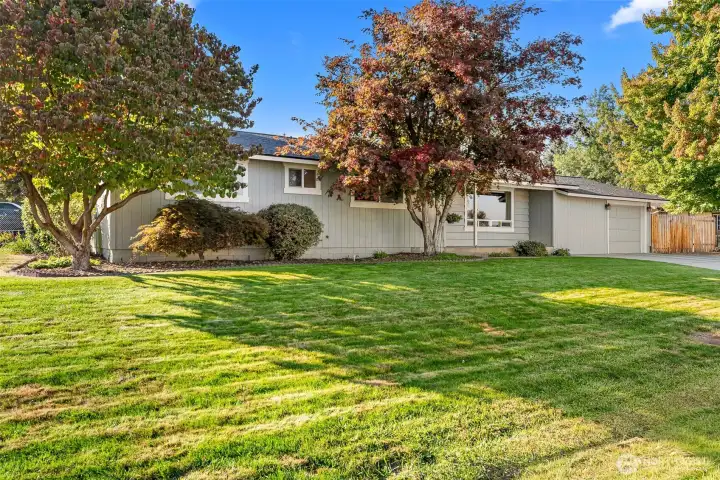front yard