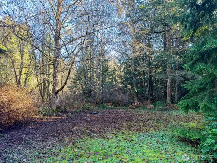 Septic System area. House located to the left and garage to the right of this photo frame.