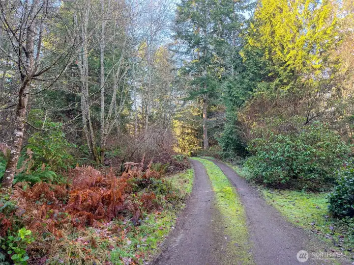 Gently sloping driveway into the quiet and picturesque property.