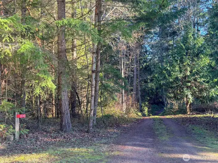 Almost at the end of Black Bear Rd., a non-through roadway, enter 890 Black Bear Rd. property on the gently sloping driveway surrounded by wonderful woods.