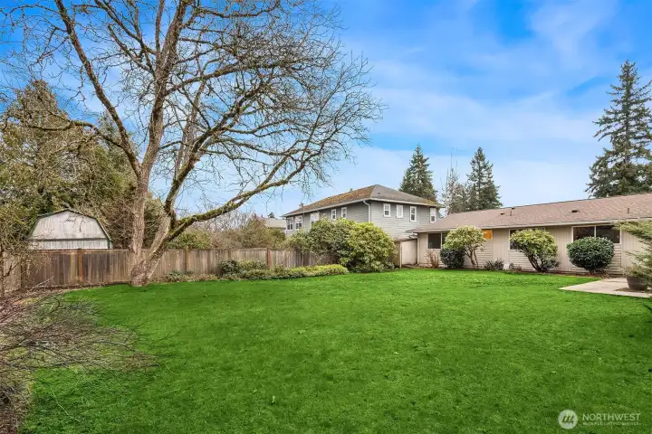 Large private flat fenced backyard.