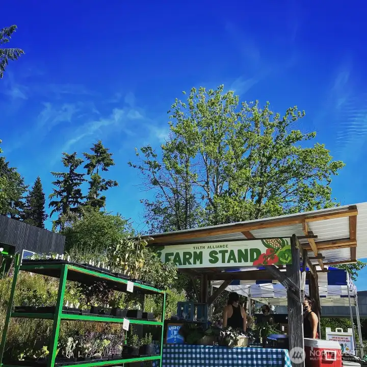 Rainier Beach Urban Farm has fresh organic seasonal produce. Shop weekly for fresh vegetables, herbs, fruit, flowers, eggs, honey, and other agricultural products grown at the farm or sourced from small, local farms and food producers. Or take a class. Or volunteer.