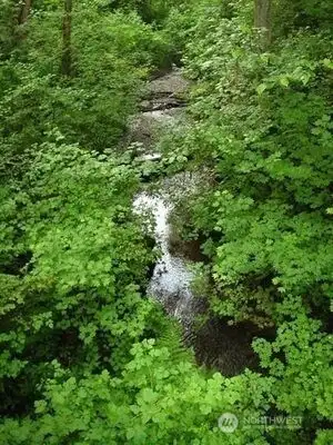 Also close by is Lakeridge Park, aka Deadhorse Canyon. A quiet 36-acre park with trails that follow a stream through lush old-growth forests is sitting above a conventional playfield area and pickle-ball courts.