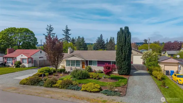 Mid century home with beautiful front lawn and landscaping.