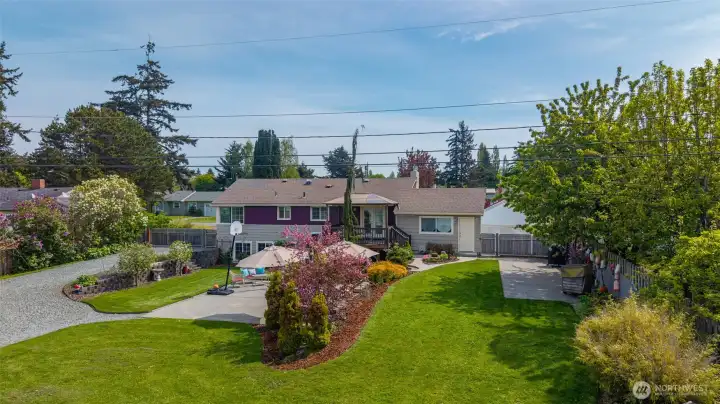 Check out this backyard oasis!