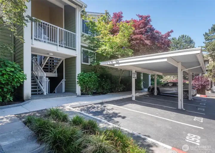 Just down 5 stairs is an amazing garden view home.