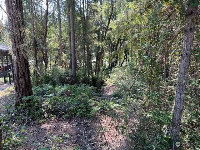 View of lot from street. Filtered lake view through the trees.