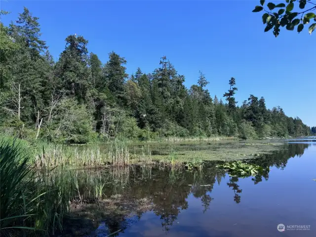 View of Lake Josephine from Interlachen Park.