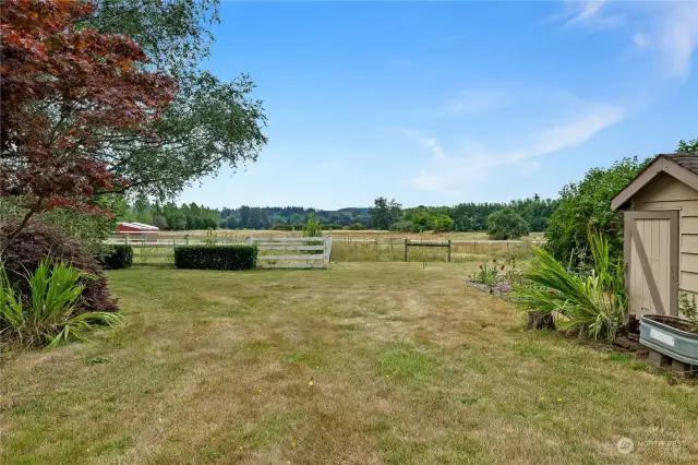 Another view of the immediate backyard, shed storage to the right and separate fenced area in front.