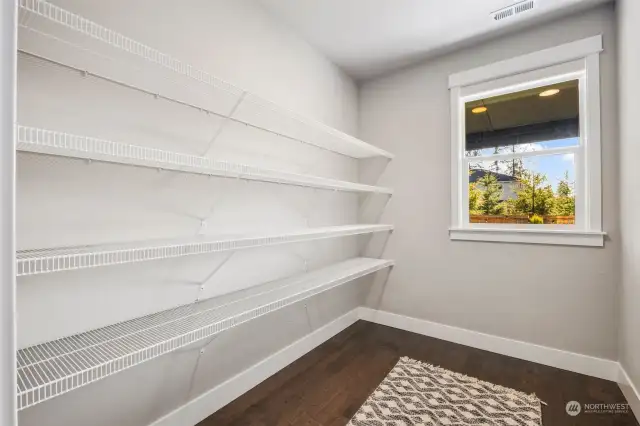 Enormous walk in pantry off kitchen