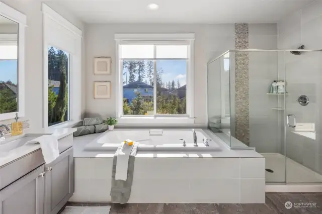 Primary bath with soaking tub. Huge walk-in closet