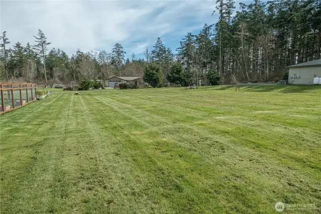 From the NW corner toward the road
