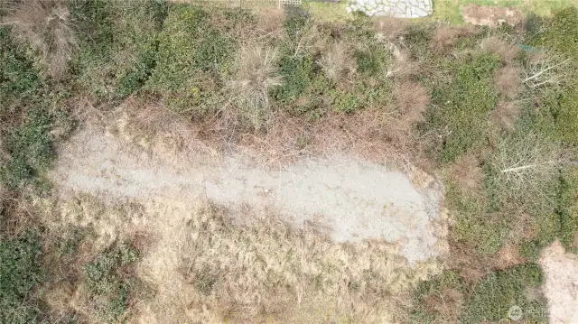 Drain field from above.