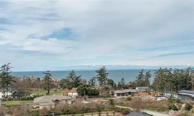 Potential views