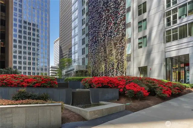 Huge patio area with BBQ