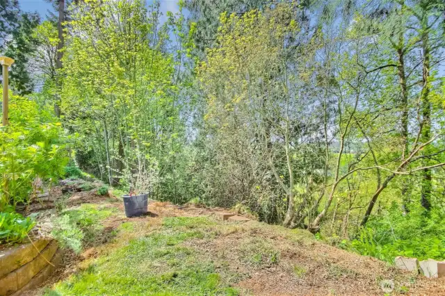 Property line goes back to just below the backyard